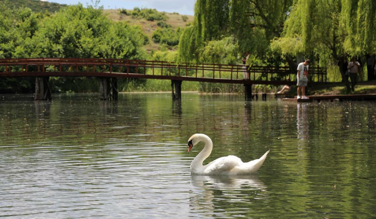 British Hotel Pogradec Luaran gambar